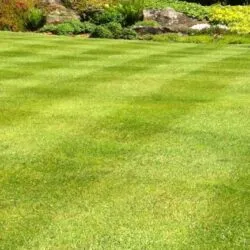 275918116_100681172591992_1379969694328541748_n