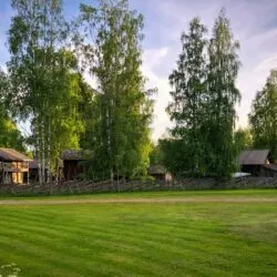 santeri-liukkonen-o7IJ0DHWDmo-unsplash